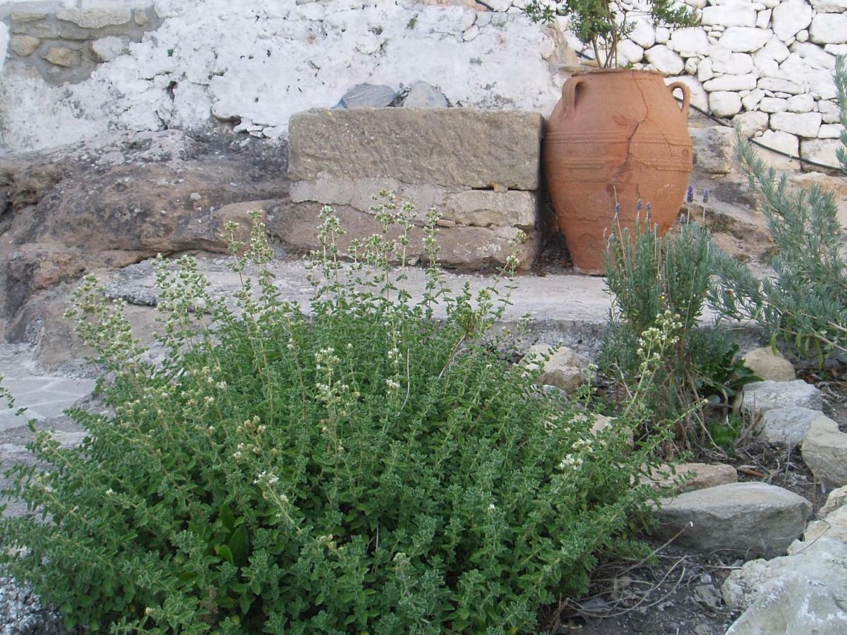 Ostria'S House Apartment Kissamos Exterior photo